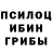 Галлюциногенные грибы MAGIC MUSHROOMS winell jordan