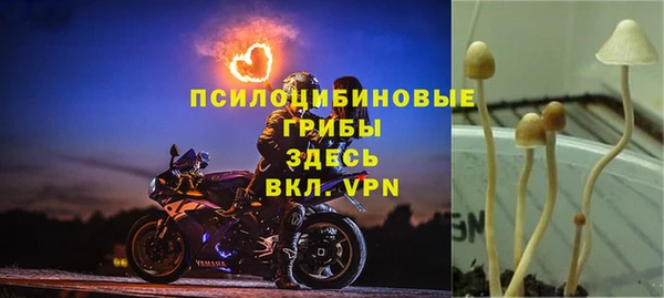 метадон Баксан