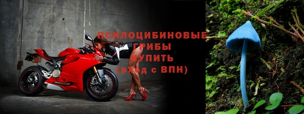 первитин Балахна