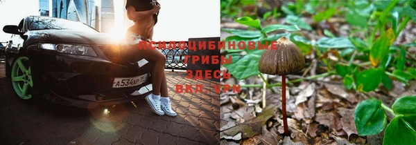 первитин Балахна